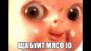 maxresdefault.jpg
