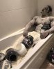 protein-blessing-awodibu-abudibu-kachok-4272508.jpg