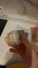 IMG_7132.jpeg