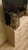 IMG_20250902_212639_365.jpg