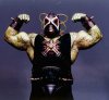 1295474502-bane.jpg